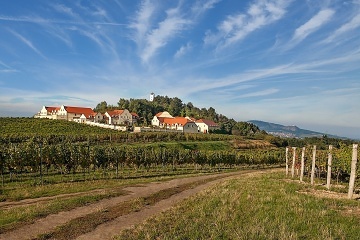 Rekreační dům U Starých - vinařská obec Zaječí