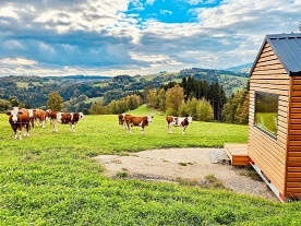 Nový objekt: Jizerské domky - Neposeda - glamping Haratice 6C-086