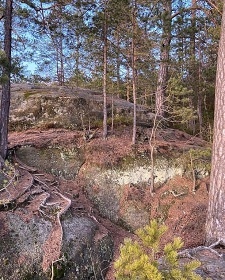 Podstvkov chalupa star asy - esk vcarsko