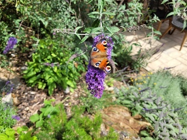 Glamping s baz�nem a zahradou - Kutn� Hora