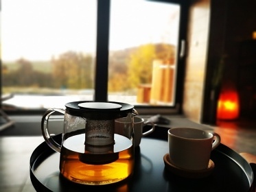 Wellness Chata Viola - Dolní Morava - Jeseníky