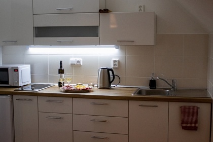 Chalupa a baz�n - �esk� �v�carsko - hrad �aun�tejn