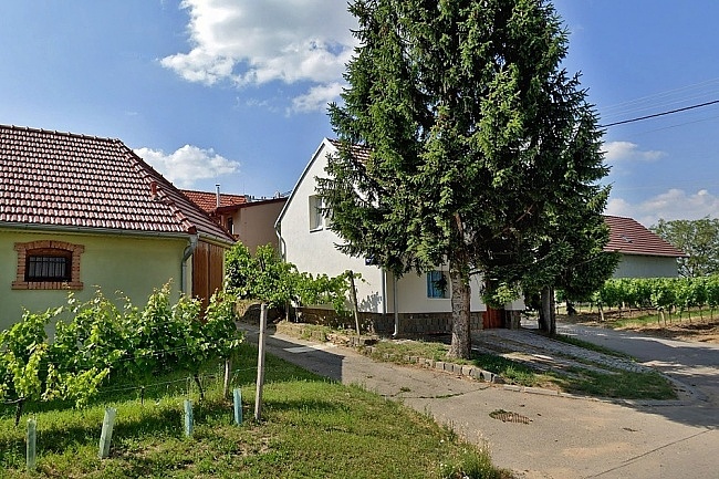 Chalupa a vinn� sklep - Hodon�nsko - CHKO P�lava