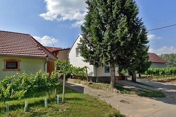 Chalupa a vinn� sklep - Hodon�nsko - CHKO P�lava