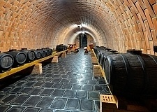 Chata a vinn sklep - sauna a koupac sud - Dubany