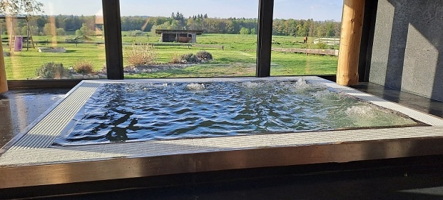 Srub s bazénem a wellness - Lužnice - Tábor