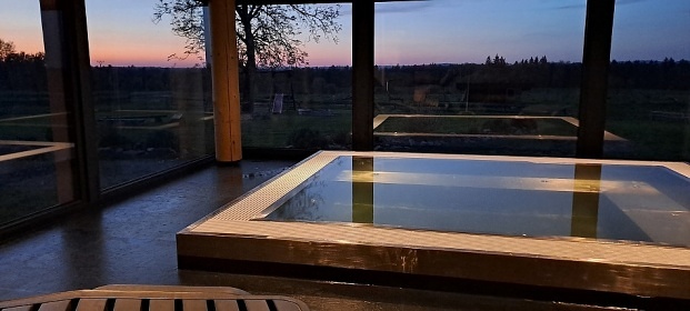 Srub s bazénem a wellness - Lužnice - Tábor