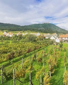 Chalupa Pálavské vrchy - hrad Děvičky - Nové Mlýny