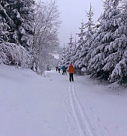 Chalupa Paseky - Vápenice - Bílé Karpaty
