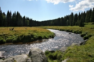 Rodinn Penzion umava - Pramenit - Hartmanice