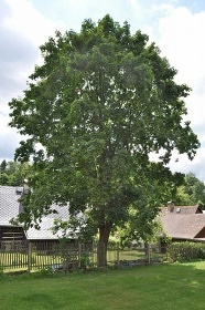 Vila Adelaide - Staré Křečany - Brtníky