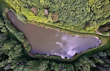 Glamping - Maringotka Pomněnka - Krabčice
