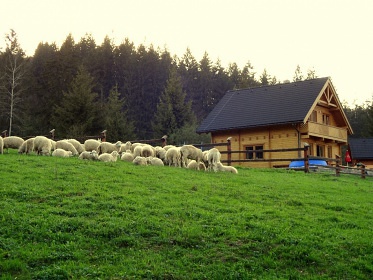 Chata Orava - Oravský Podzámok - Oravský hrad