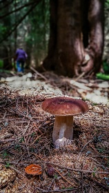 Kemp Z�padn� Tatry - Liptovsk� Mikul� - Liptov