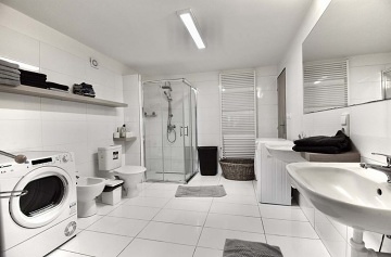 Roubenka wellness a bazn - Vysoina - Svratka