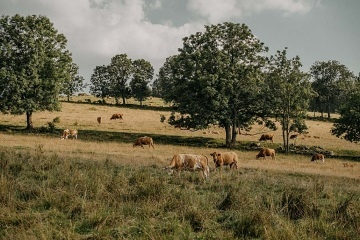 Chalupa Na Potok - Malá Morava - Jeseníky