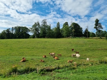 Roubenka U Medvěda - Orličky - sauna
