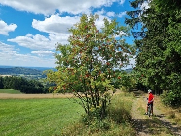 Roubenka U Medvda - Orliky - sauna