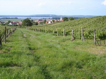 Chalupa Bona Terra - Horní Věstonice - Pálava