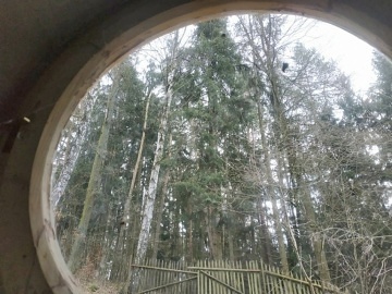 Treehouse Stvořidla - Leštinka - Glamping