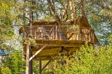 Treehouse Stvořidla - Leštinka - Glamping