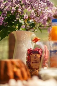 Treehouse Stvořidla - Leštinka - Glamping