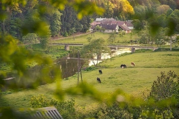 Treehouse Stvořidla - Leštinka - Glamping