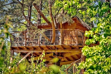 Treehouse Stvořidla - Leštinka - Glamping