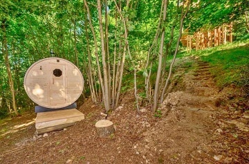 Glamping v korun�ch strom� - v�hled na Je�t�d