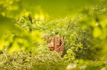 Glamping Treehouse a sauna - v�hled na Je�t�d