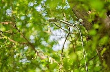 Glamping samota v korunách stromů - Ještěd