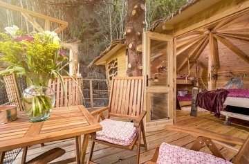 Glamping v lese - Treehouse a sauna - Je�t�d