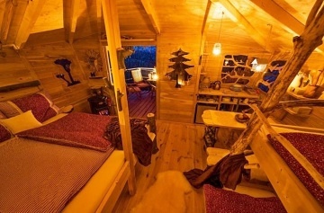 Glamping v lese - Treehouse a sauna - Je�t�d