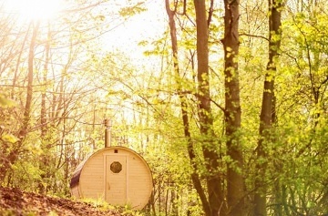 Glamping v lese - Treehouse a sauna - Je�t�d