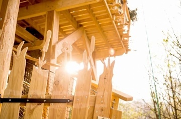 Glamping v lese - Treehouse a sauna - Je�t�d