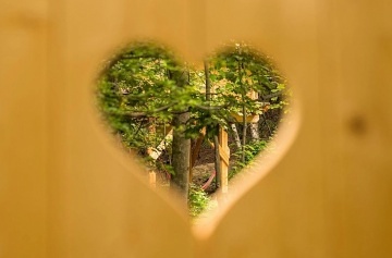 Glamping v lese - Treehouse a sauna - Je�t�d