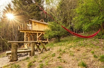 Glamping v lese - Treehouse a sauna - Je�t�d
