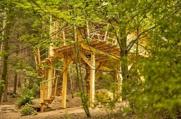 Glamping v lese - Treehouse a sauna - Je�t�d