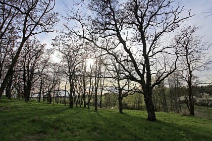Glamping u jez�rka - podh��� �umavy - Otava