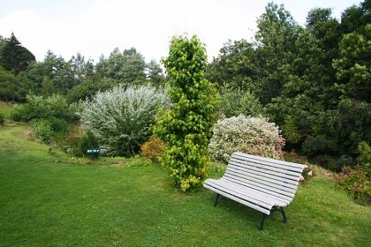 Chalupa a koupac� jez�rko - �ern� hora - Krkono�e