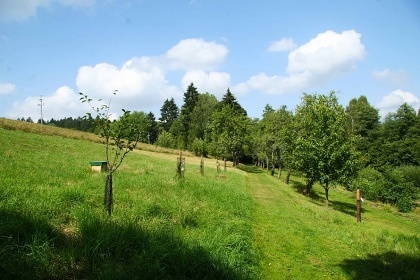 Chalupa a koupac� jez�rko - �ern� hora - Krkono�e