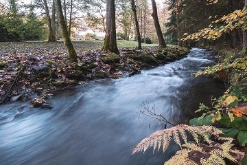 Chalupa baz�n a wellness - Ole�anka - Sn�n�