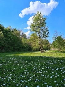 Zámeček Podčejk - akce, svatby - Mladá Boleslav