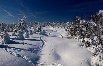 Horská chata Krušné hory - Bouřňák - nádrž Fláje