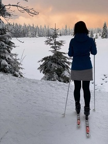 Krunohorsk chata se saunou - samota u lesa