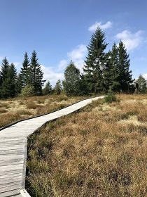 Krunohorsk chata se saunou - samota u lesa