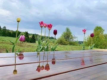 Krunohorsk chata se saunou - samota u lesa