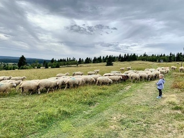 Krunohorsk chata se saunou - samota u lesa
