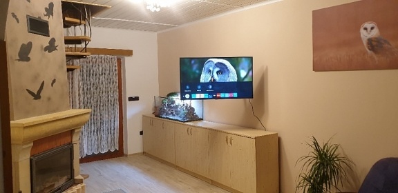 Apartmn pro rodiny s dtmi - Sov centrum