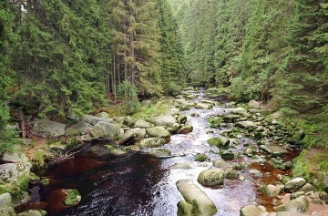 Chata vhled na Paseckou sla s jezrkem - Kvilda